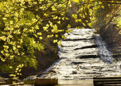 Buttermilk Falls